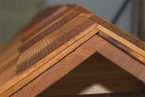 Cedar ridge cap